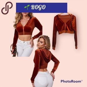 🌱BOGO NWOT Y2K Shein bronze cropped zip up